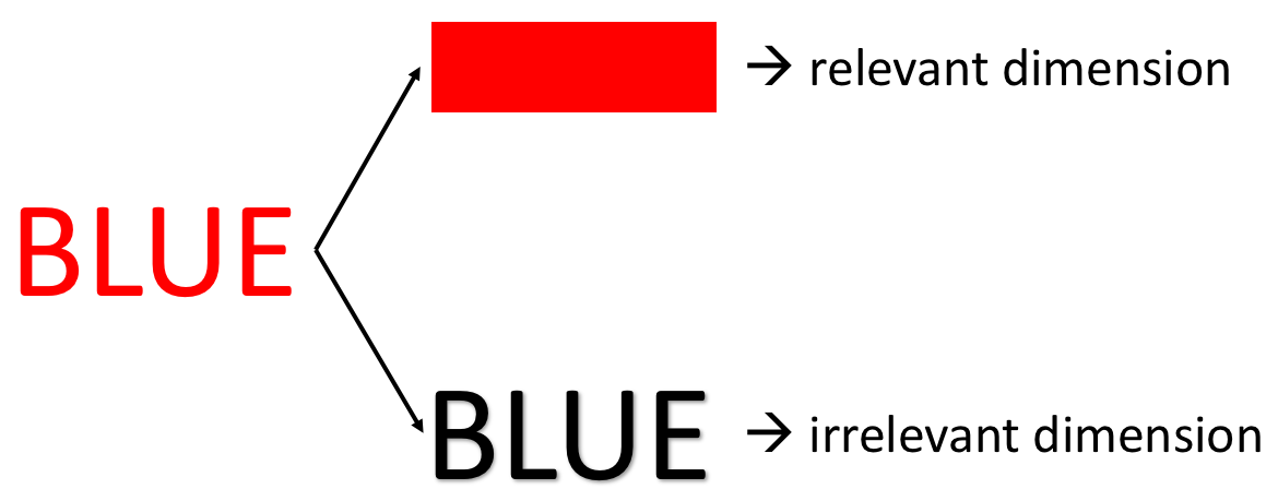 Relevant and irrelevant dimensions in the Stroop task.