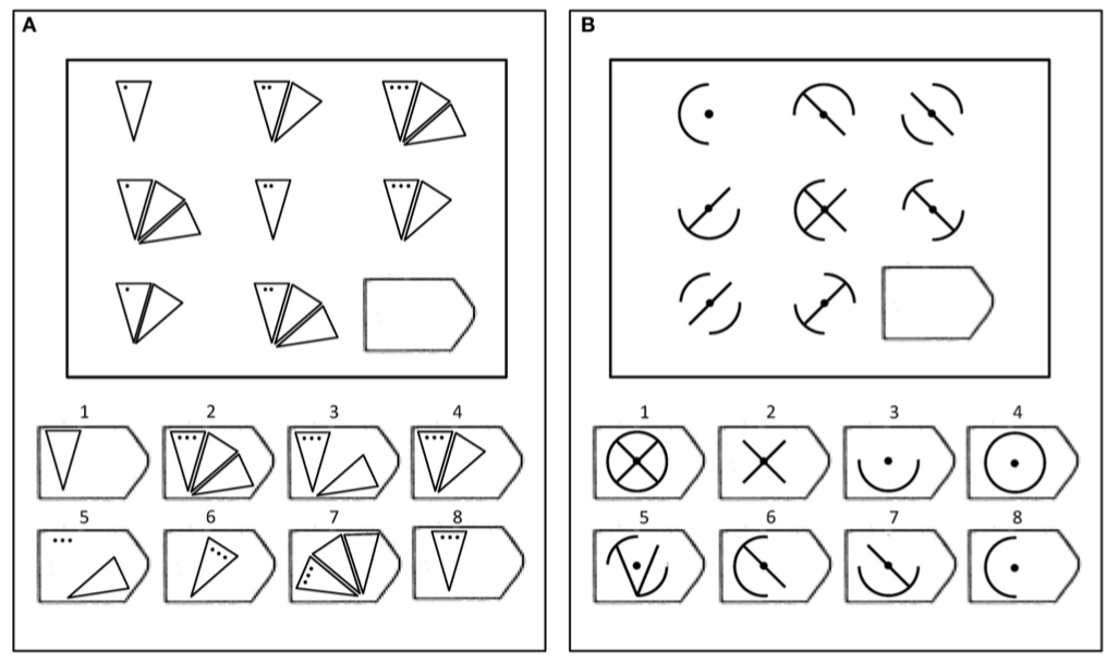 Two examples similar to those used in Raven's test. Participants must identify the item that completes the overall pattern in a rule-based manner. From Little et al. (2014).