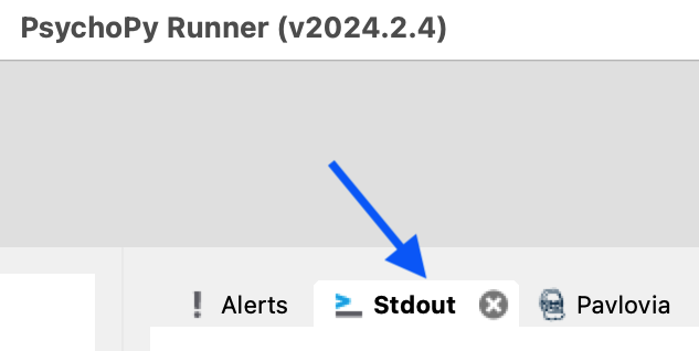 The Stdout tab of the Runner window.