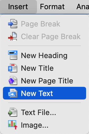 The Insert menu with the 'New Text' option selected.