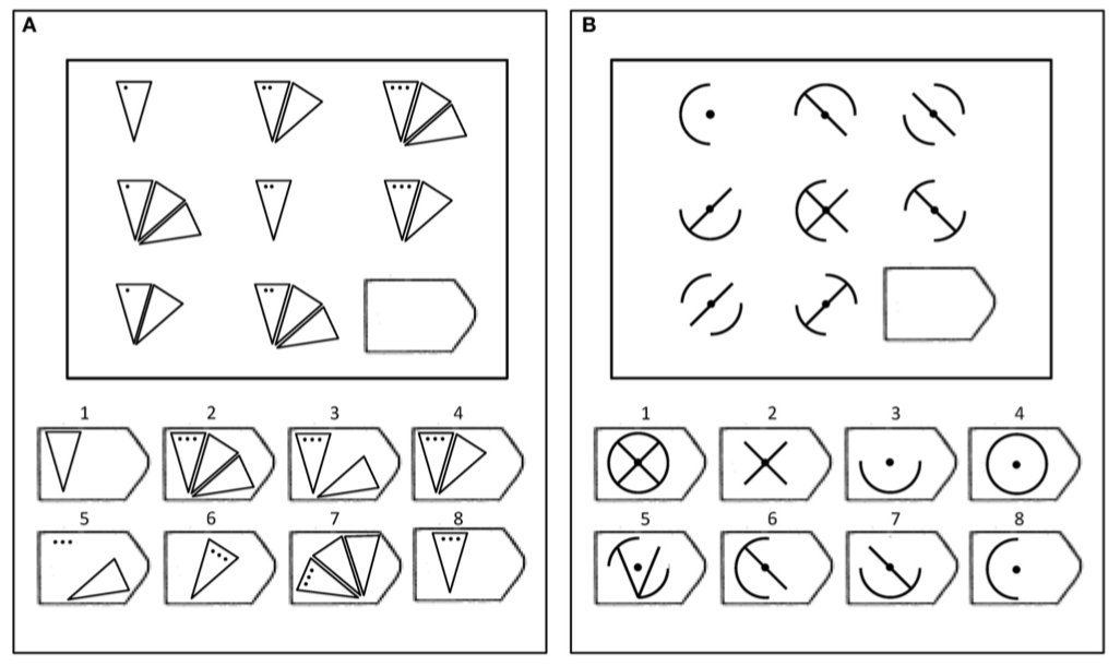 Two examples similar to those used in Raven's Progressive Matrices.