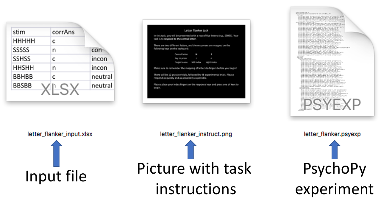 The unzipped folder contains an input file, a picture with instructions and the actual PsychoPy experiment.